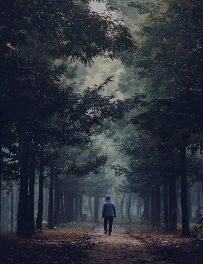 A person walks along a misty avenue beneath tall trees.